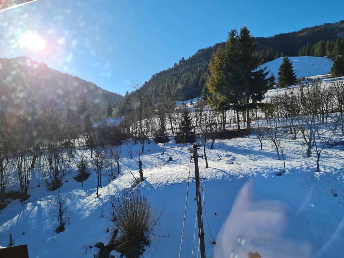 Penzion Mala Fatra U Durka زيلينا المظهر الخارجي الصورة